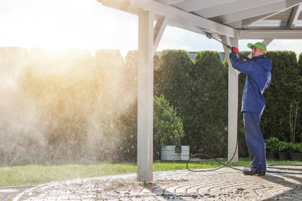 Best Roof Washing  in Jackson, MN