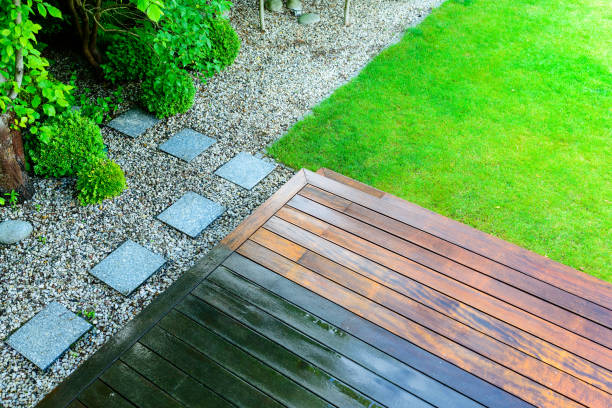 Best Gutter Cleaning  in Jackson, MN